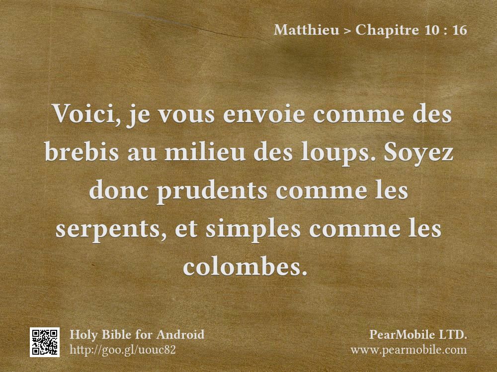 Matthieu, Chapitre 10:16